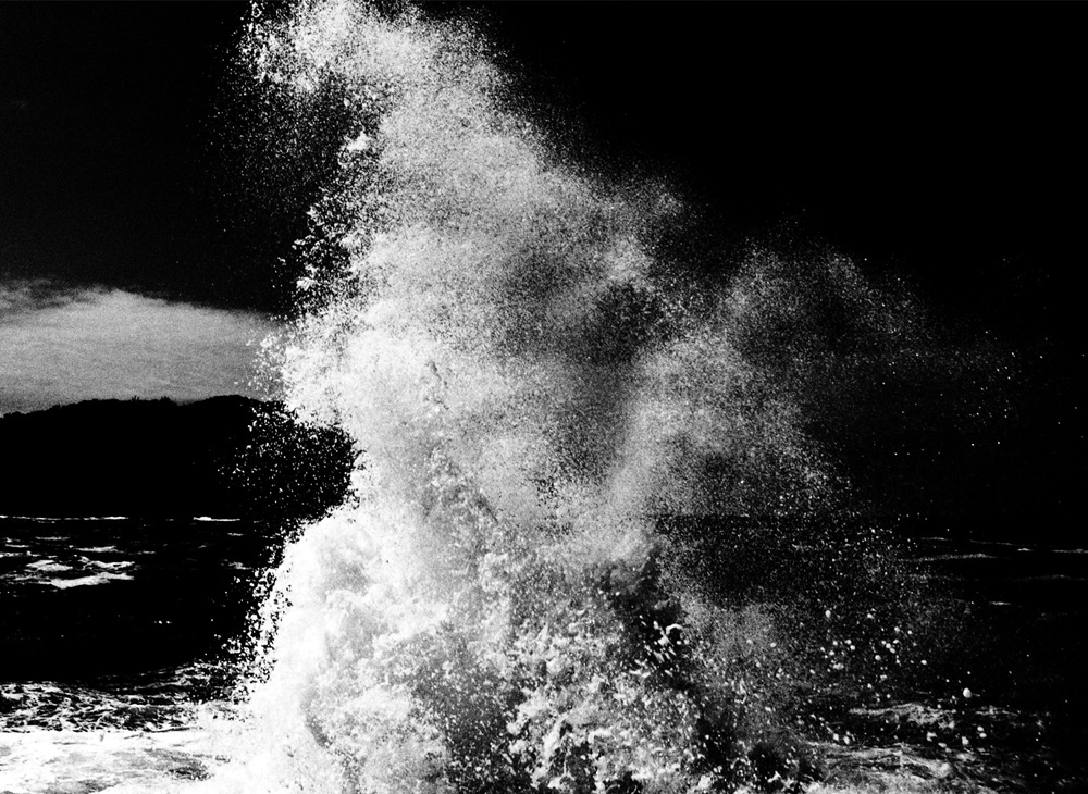 Ardor  - Martin Ogolter
