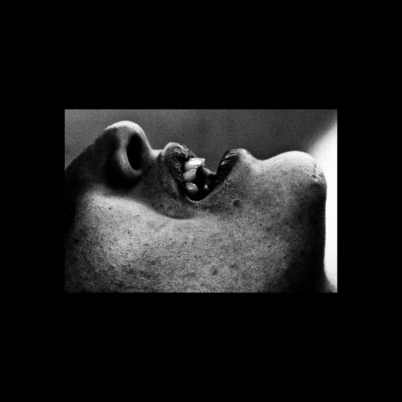 Ardor  - Martin Ogolter