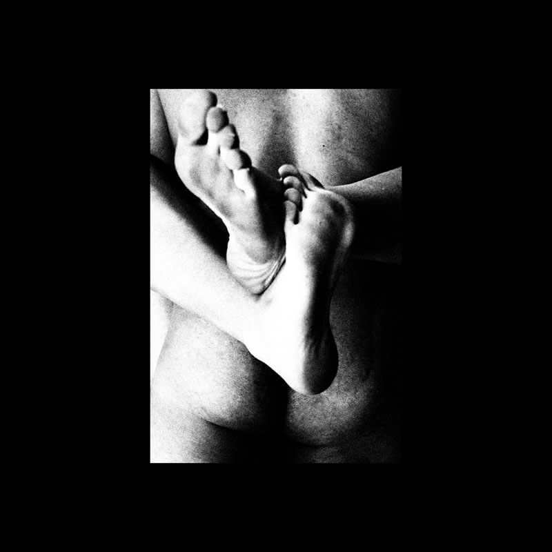 Ardor  - Martin Ogolter