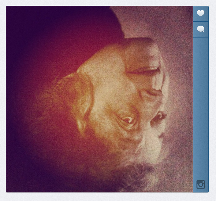 instagram  - Martin Ogolter
