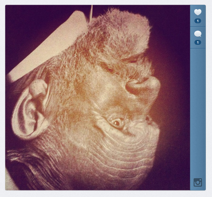instagram  - Martin Ogolter