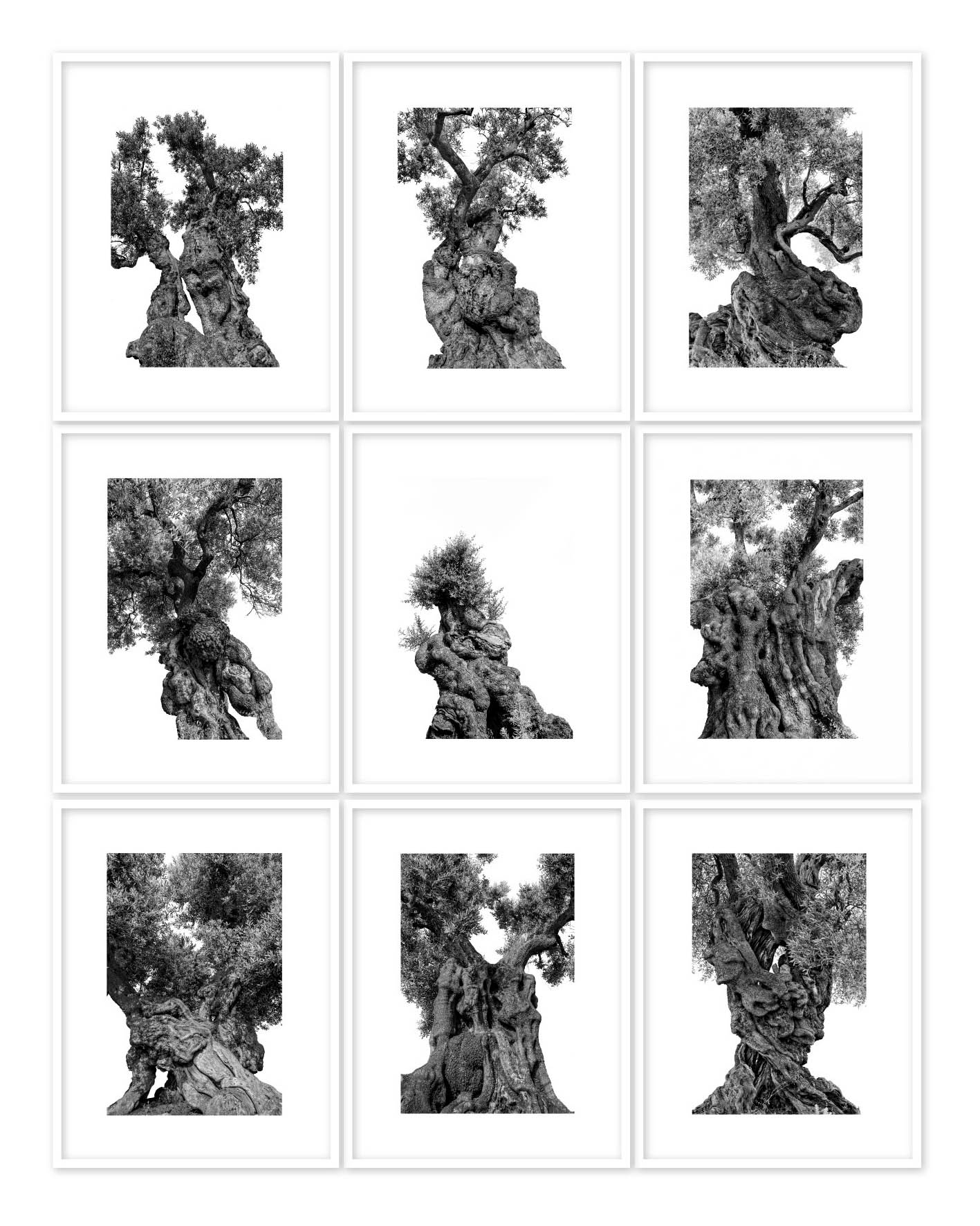 monumentali  - Martin Ogolter