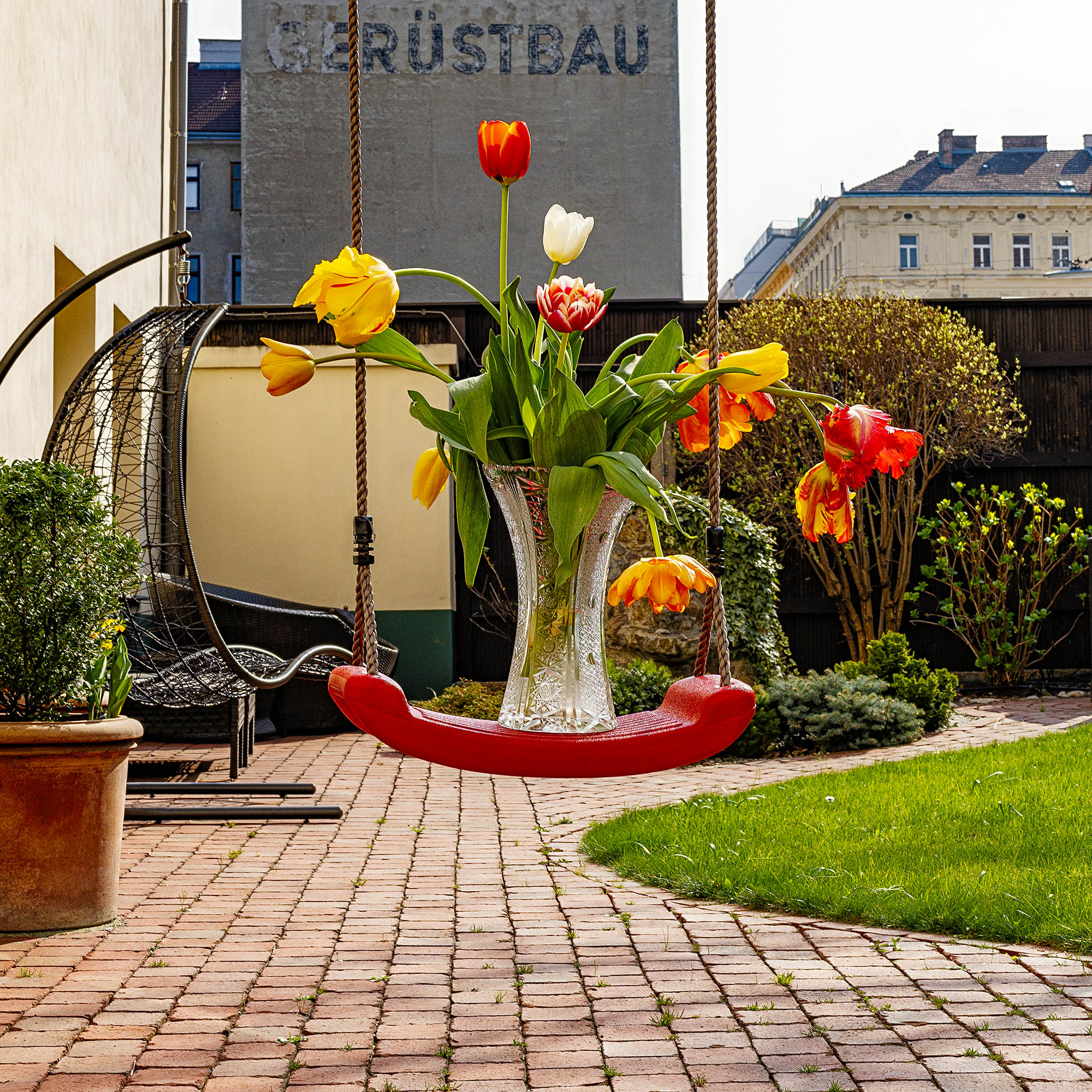 photography - Martin Ogolter