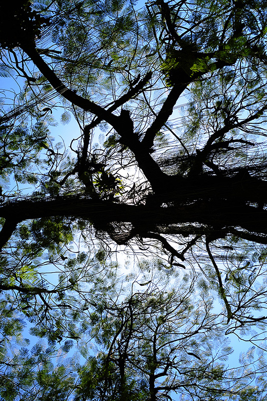 photography - Martin Ogolter