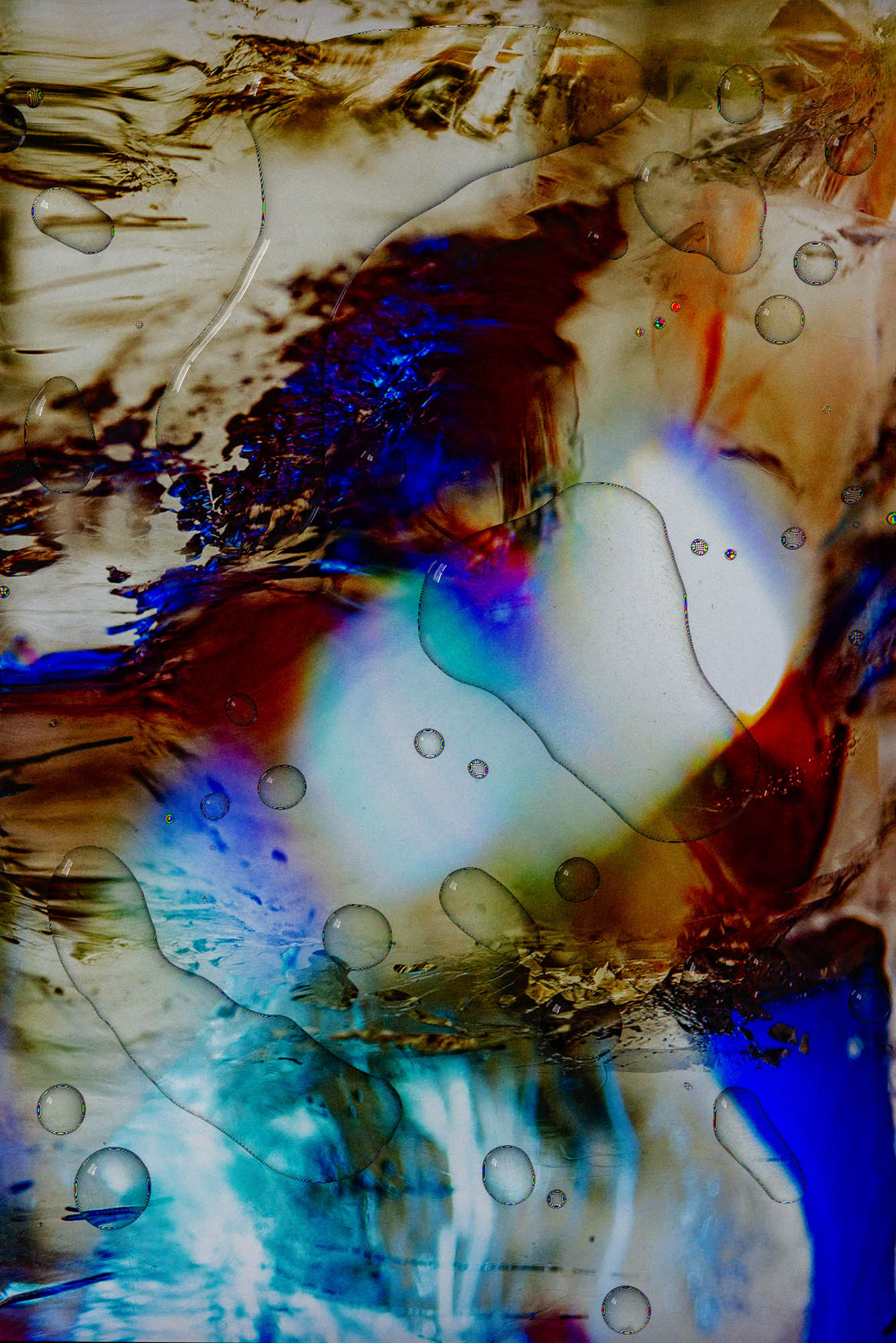 stardust - Martin Ogolter