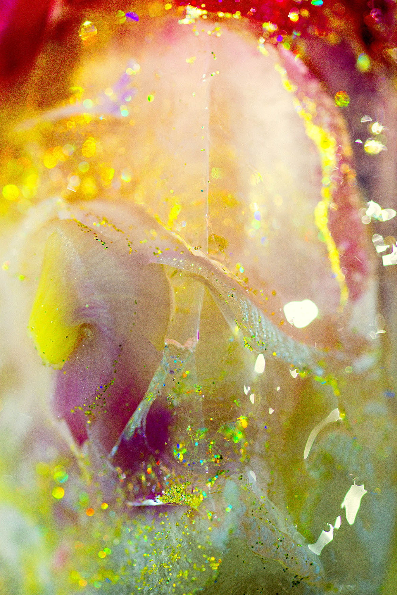 stardust - Martin Ogolter