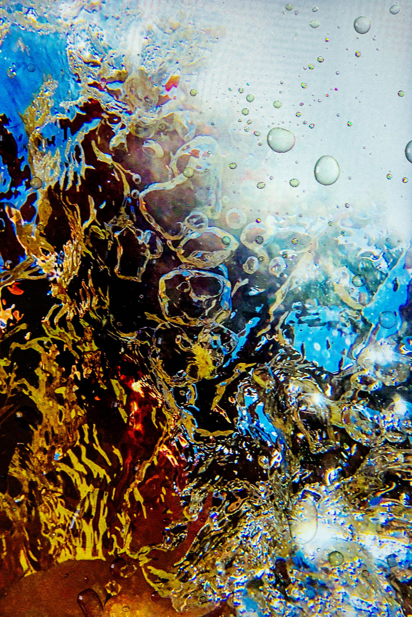 stardust - Martin Ogolter